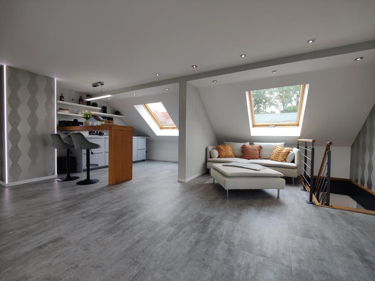 Ferienhaus Villa Adelsberg Mit Dachterrasse In Zentraler Lage Fuer Bis Zu 10 Personen Chemnitz Exterior foto