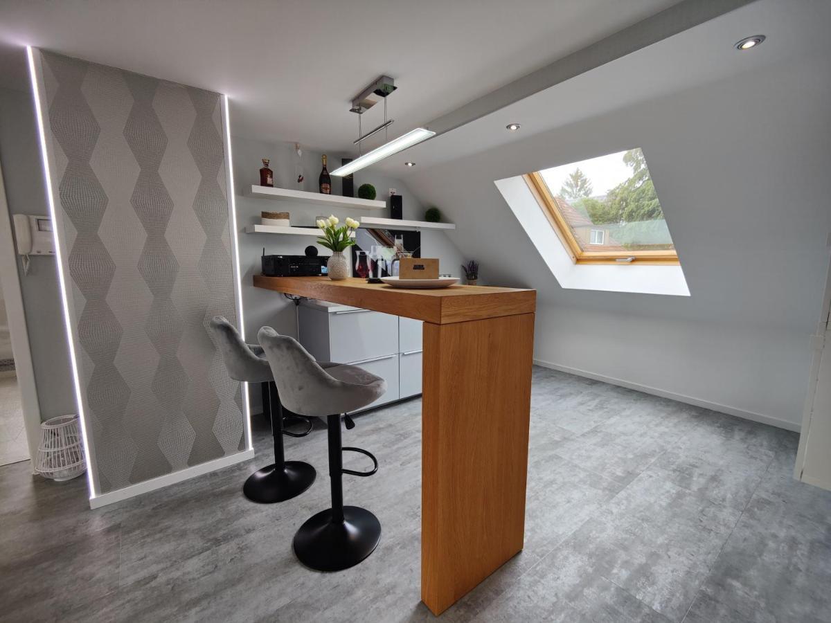 Ferienhaus Villa Adelsberg Mit Dachterrasse In Zentraler Lage Fuer Bis Zu 10 Personen Chemnitz Exterior foto